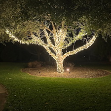 Outdoor-Tree-Lighting-in-Shelby-SC-Professional-Christmas-Lighting-Installation 0